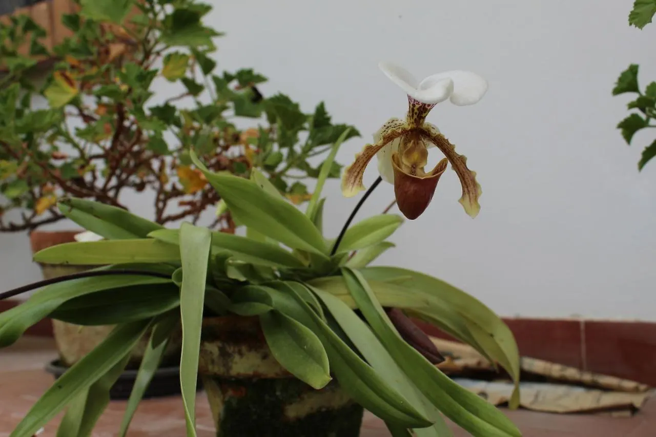 Casa Aconchegante No Capivari Campos do Jordão 펜션