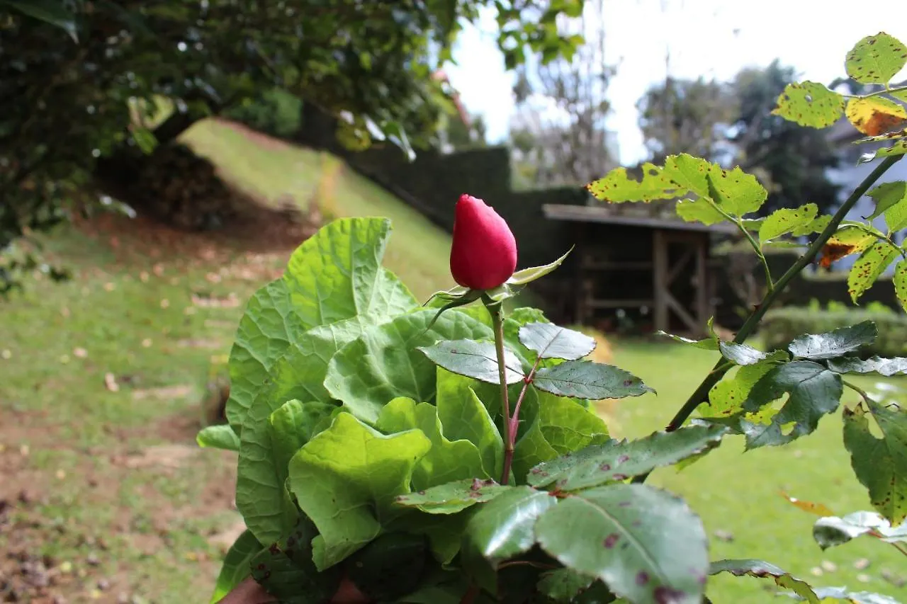 Casa Aconchegante No Capivari Campos do Jordao Brezilya